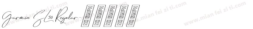 Garmin SL30 Regular字体转换
